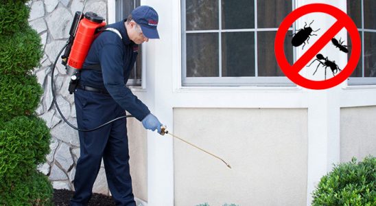 Bademler Hamam Böceği İlaçlama böcek ilaçlama ve haşere kontrolü — ilaclama-tr.com